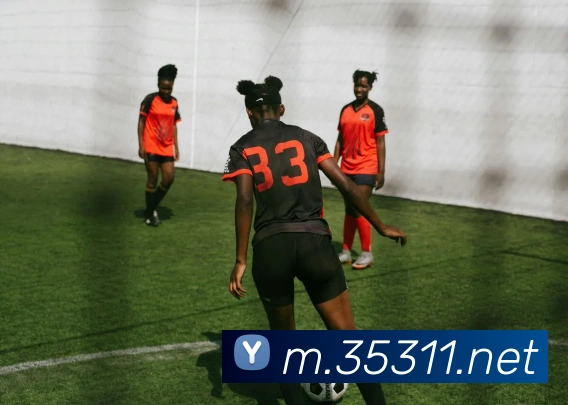 企业概况